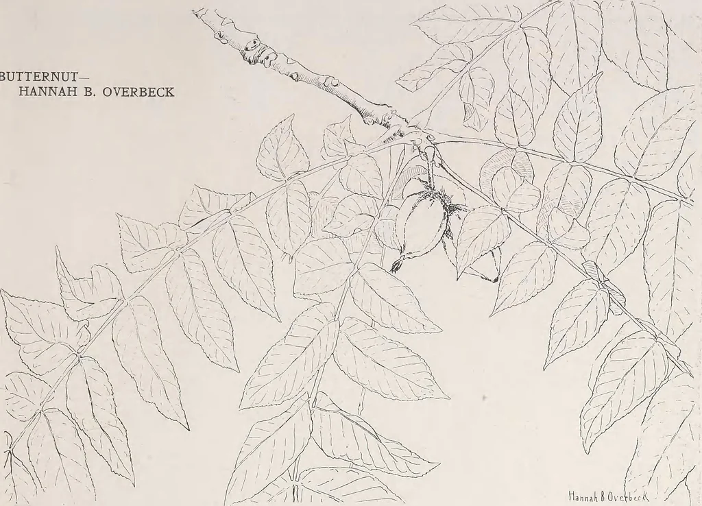 An illustration from Keramic studio, 1899, leaf 200