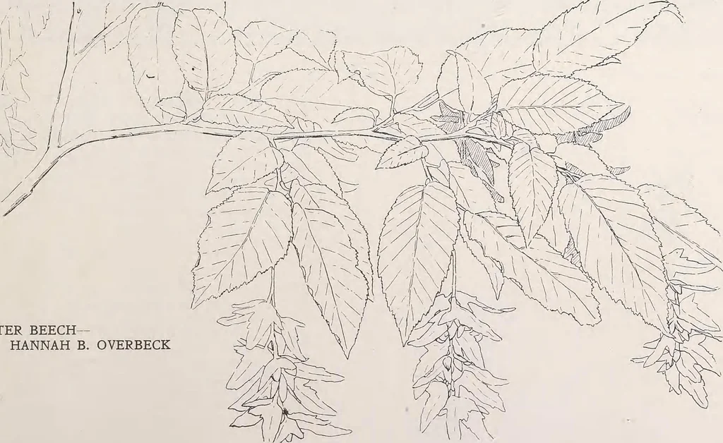 An illustration from Keramic studio, 1899, leaf 200
