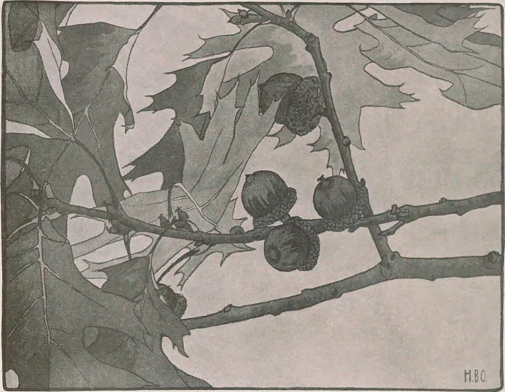 An illustration from Keramic studio, 1899, leaf 201