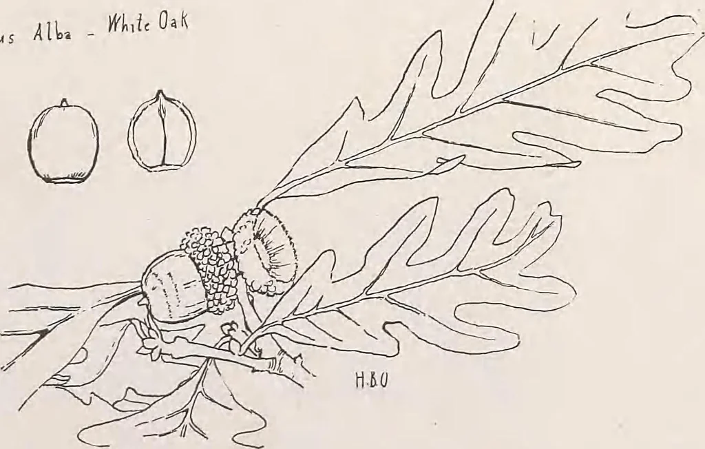An illustration from Keramic studio, 1899, leaf 202