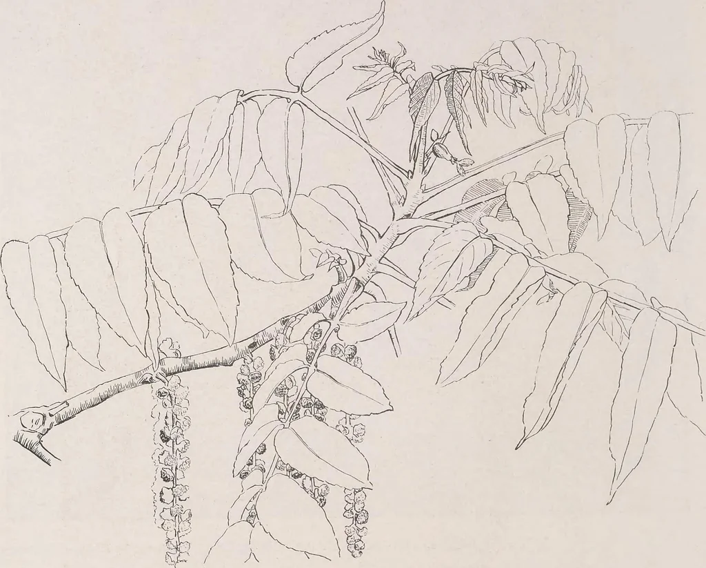 An illustration from Keramic studio, 1899, leaf 203