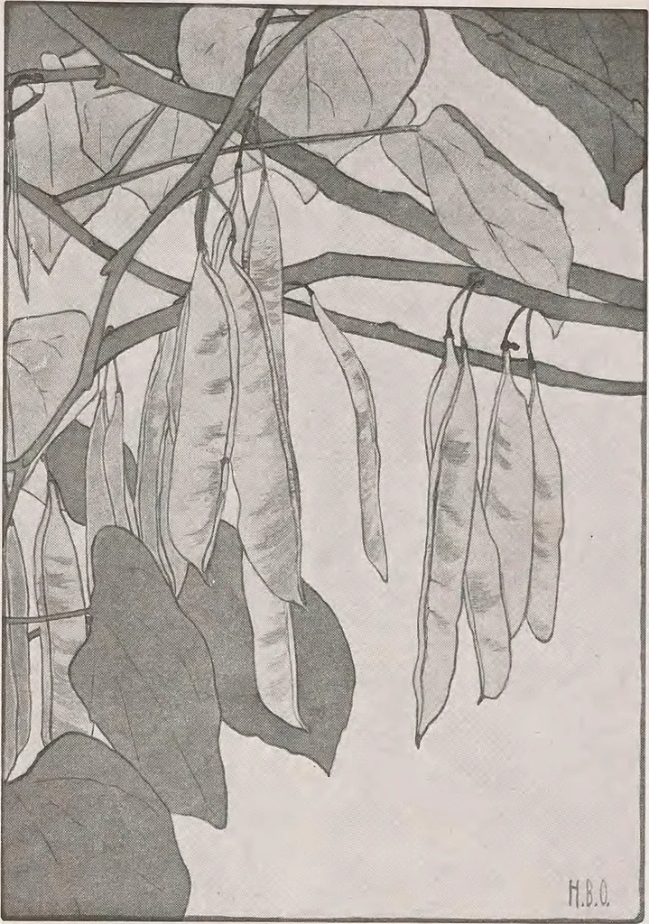 An illustration from Keramic studio, 1899, leaf 205