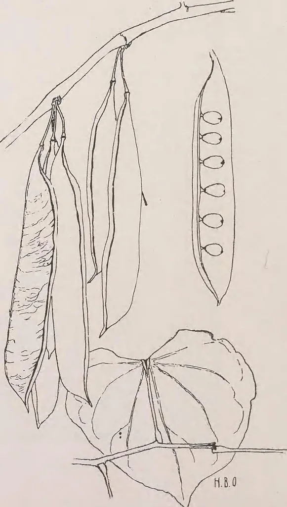An illustration from Keramic studio, 1899, leaf 205