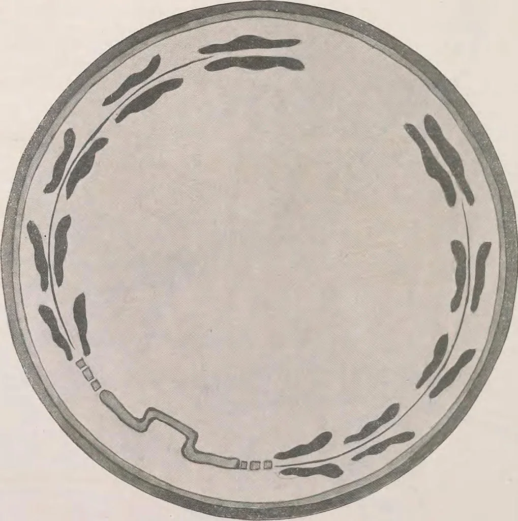 An illustration from Keramic studio, 1899, leaf 211