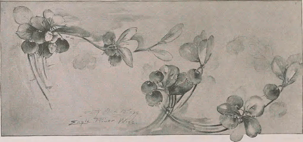 An illustration from Keramic studio, 1899, leaf 221