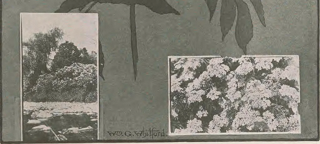 An illustration from Keramic studio, 1899, leaf 222