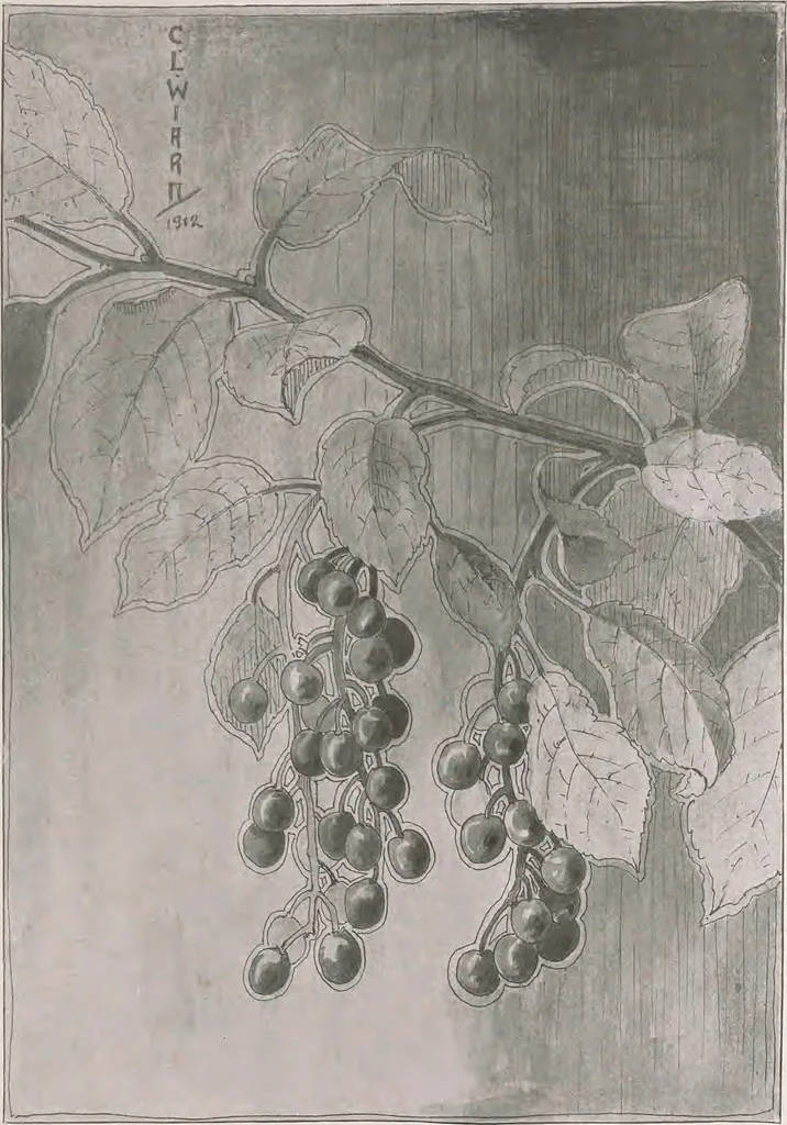 An illustration from Keramic studio, 1899, leaf 228