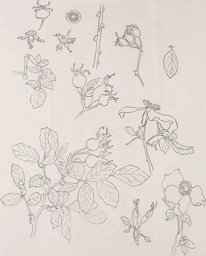 An illustration from Keramic studio, 1899, leaf 231