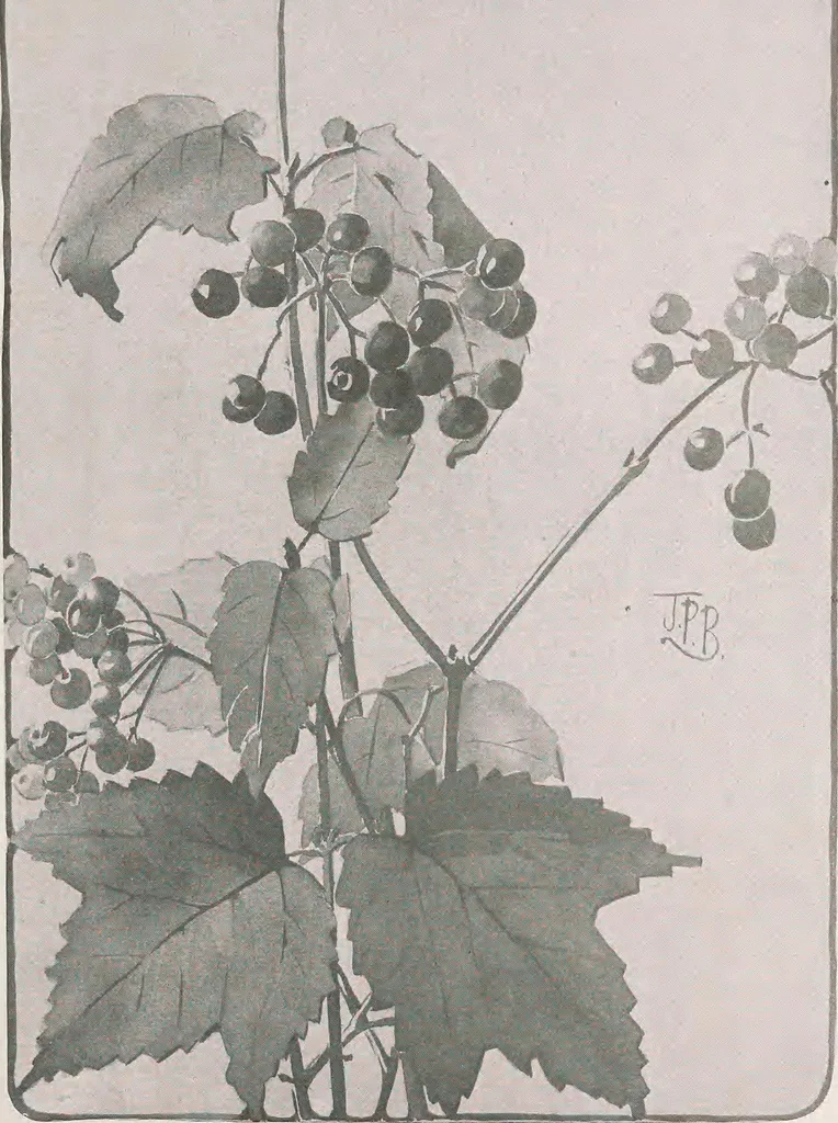 An illustration from Keramic studio, 1899, leaf 236