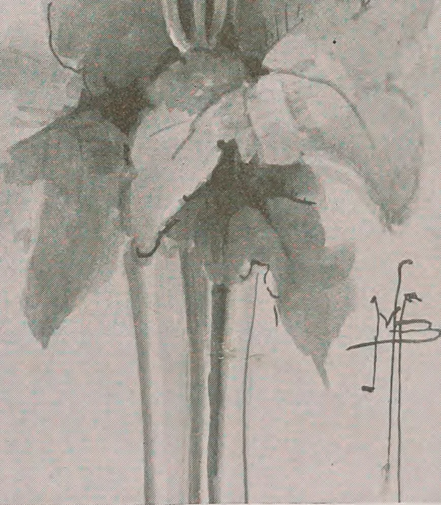 An illustration from Keramic studio, 1899, leaf 263