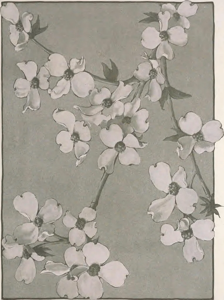 An illustration from Keramic studio, 1899, leaf 268