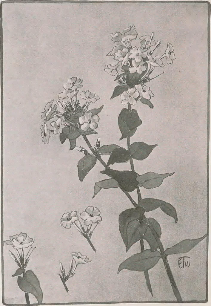 An illustration from Keramic studio, 1899, leaf 283