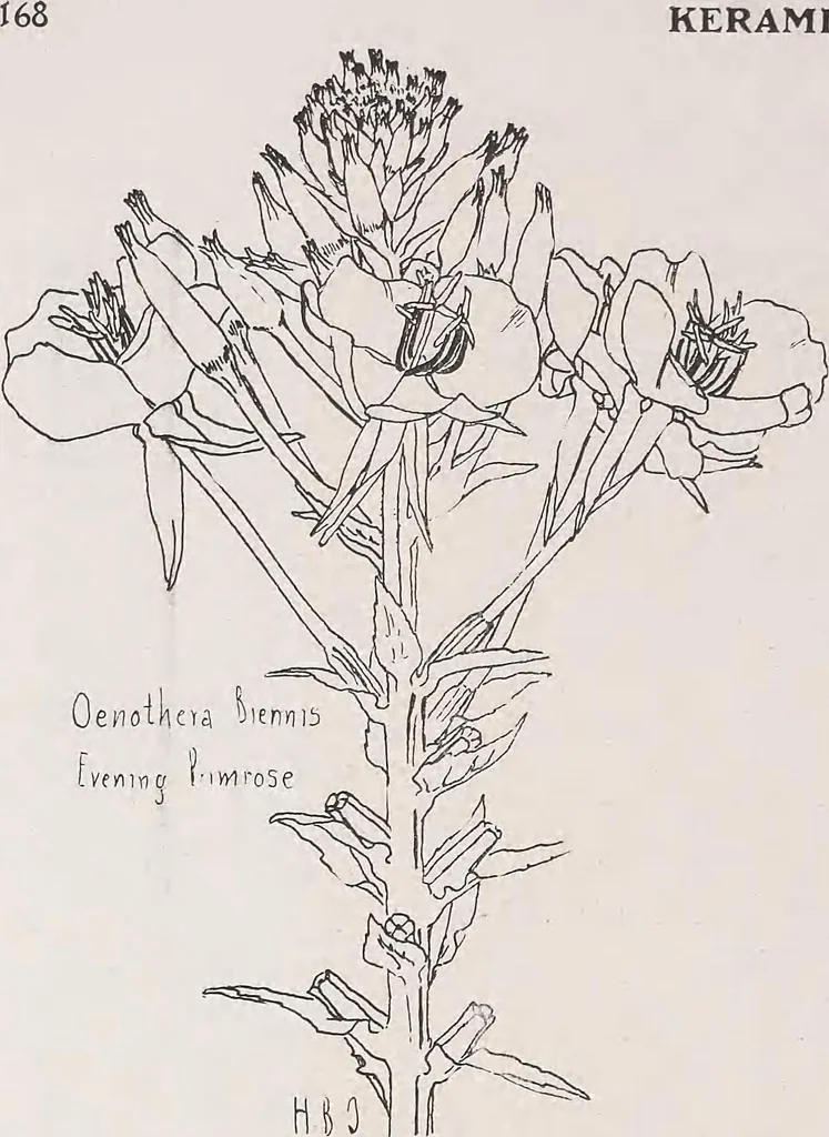 An illustration from Keramic studio, 1899, leaf 295