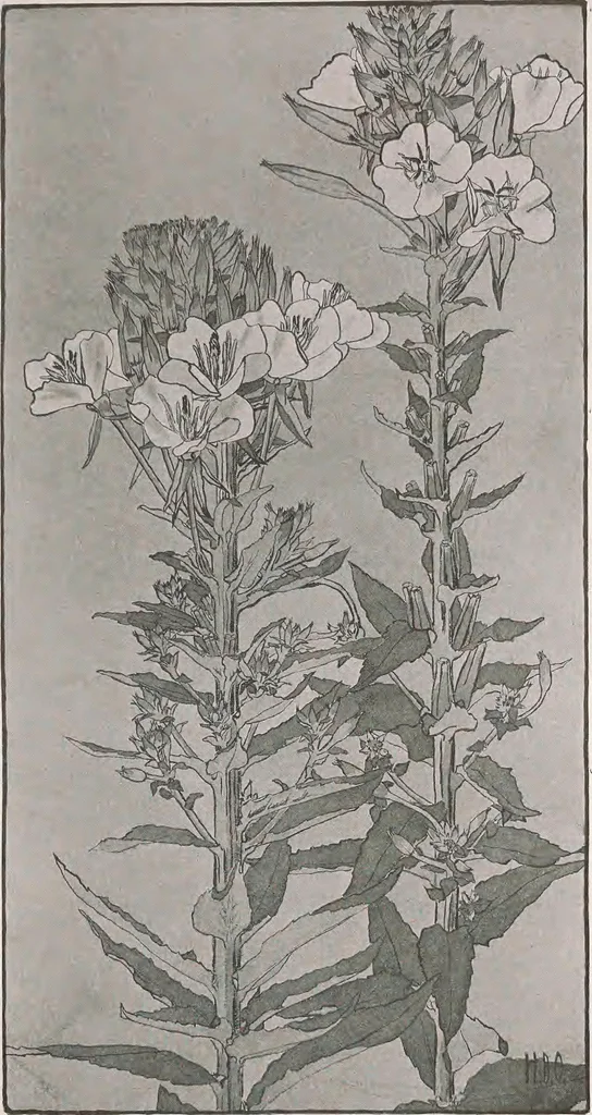 An illustration from Keramic studio, 1899, leaf 296
