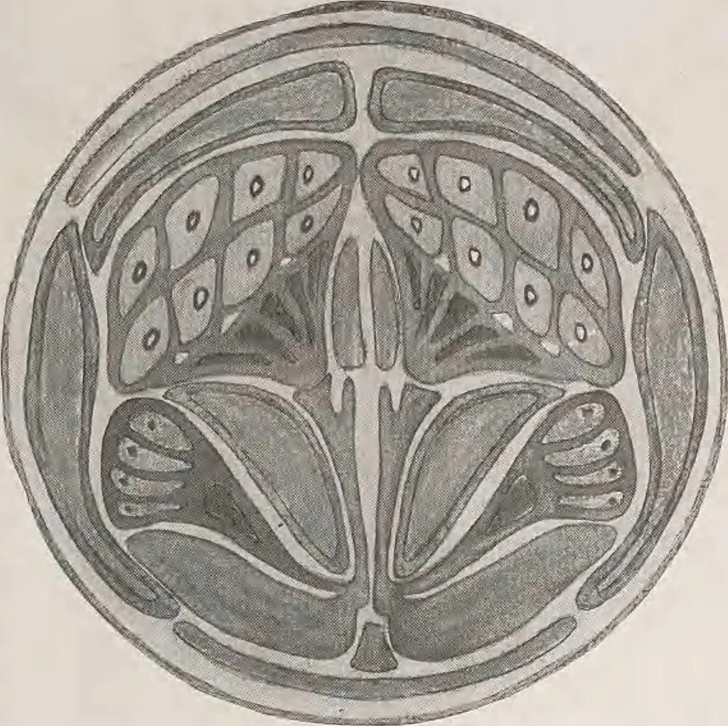 An illustration from Keramic studio, 1899, leaf 332