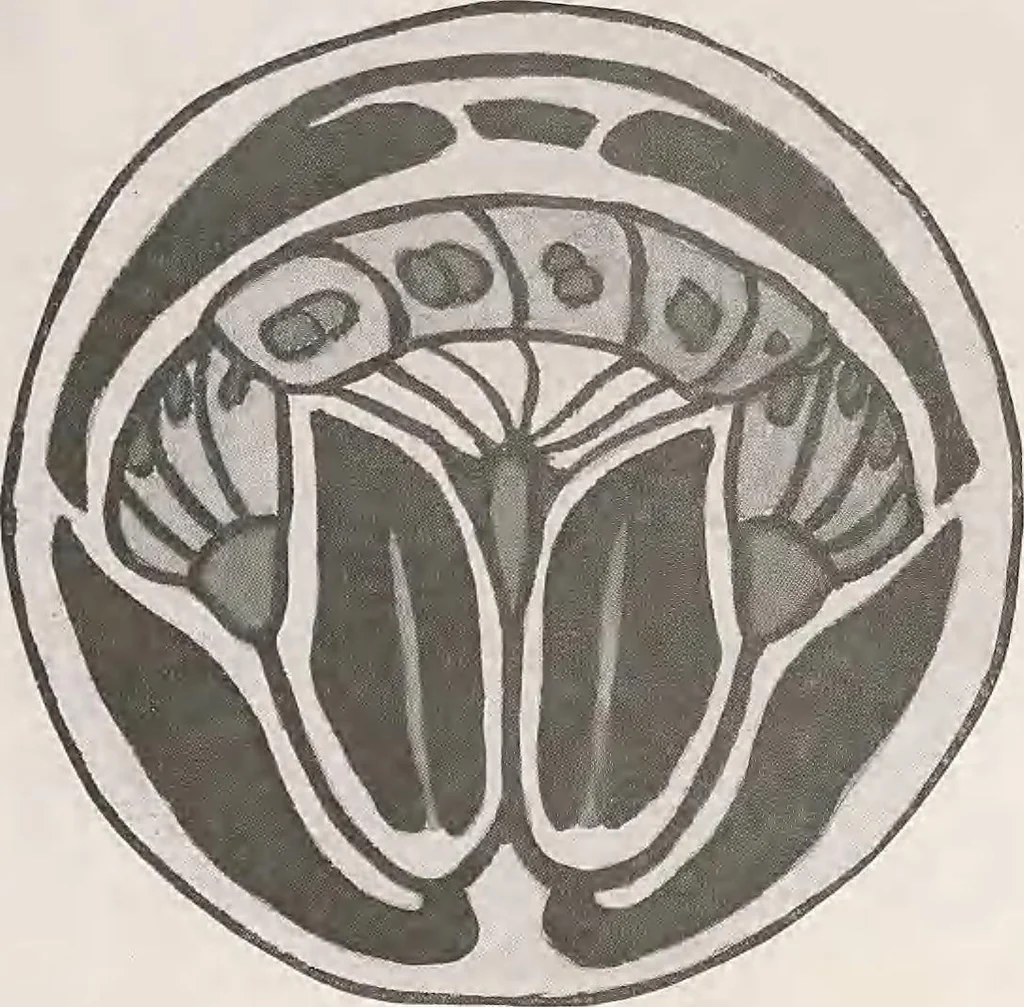An illustration from Keramic studio, 1899, leaf 332