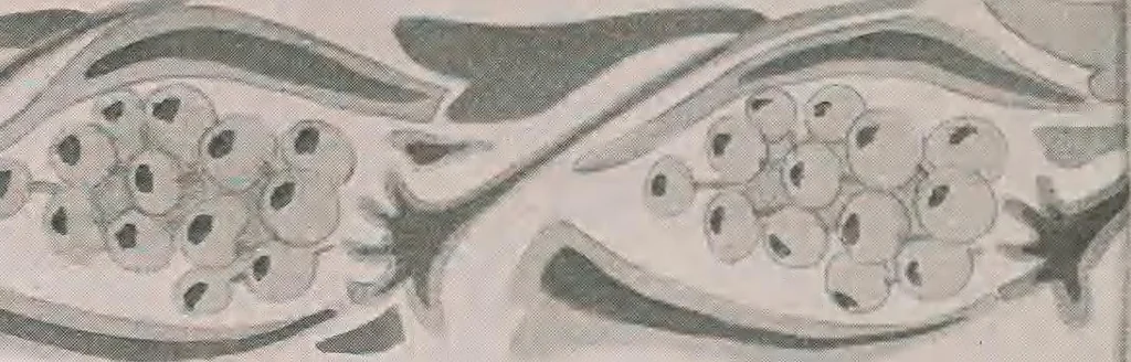 An illustration from Keramic studio, 1899, leaf 333