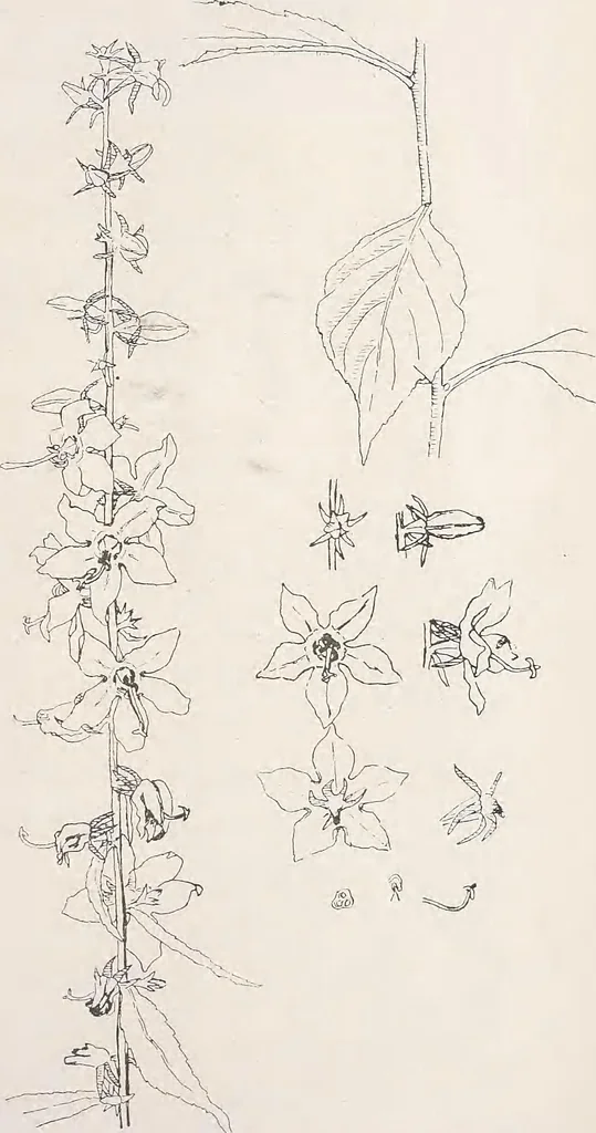 An illustration from Keramic studio, 1899, leaf 334