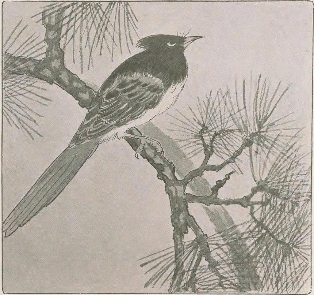An illustration from Keramic studio, 1899, leaf 344