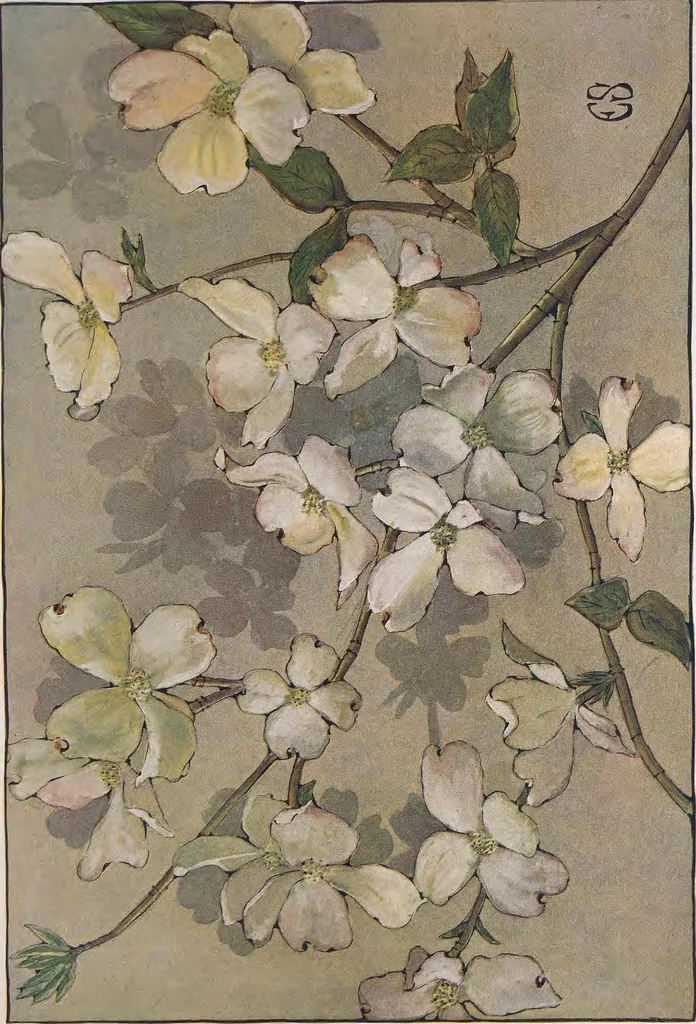 An illustration from Keramic studio, 1899, leaf 352