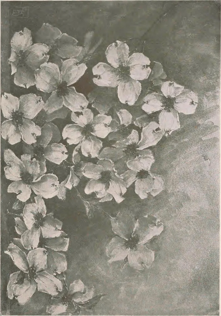 An illustration from Keramic studio, 1899, leaf 354
