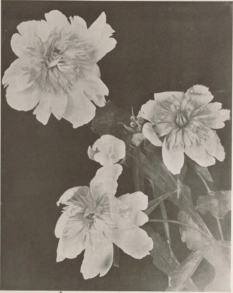An illustration from Keramic studio, 1899, leaf 36