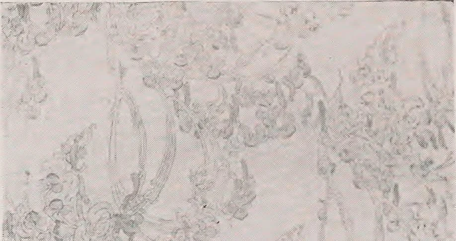 An illustration from Keramic studio, 1899, leaf 41