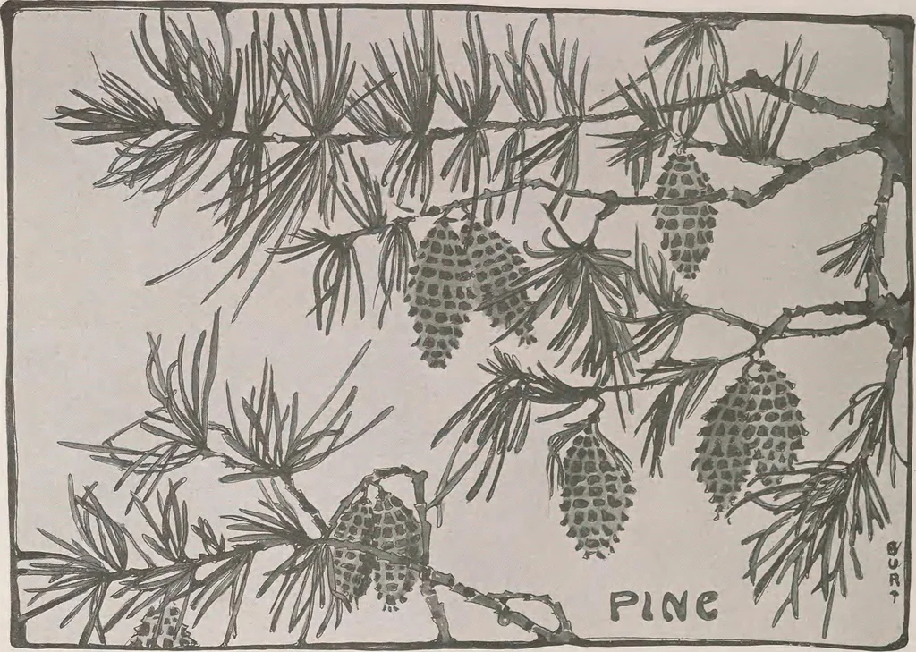 An illustration from Keramic studio, 1899, leaf 43