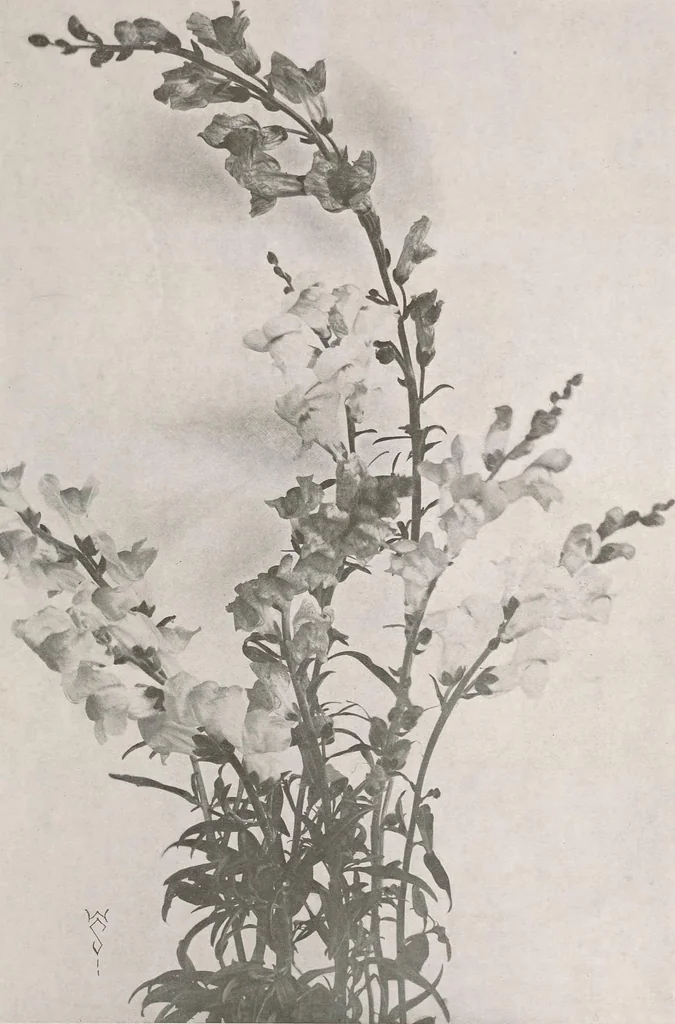 An illustration from Keramic studio, 1899, leaf 54
