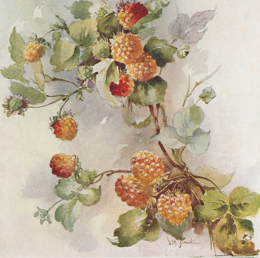 An illustration from Keramic studio, 1899, leaf 56