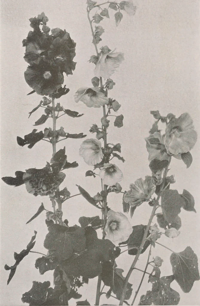 An illustration from Keramic studio, 1899, leaf 69
