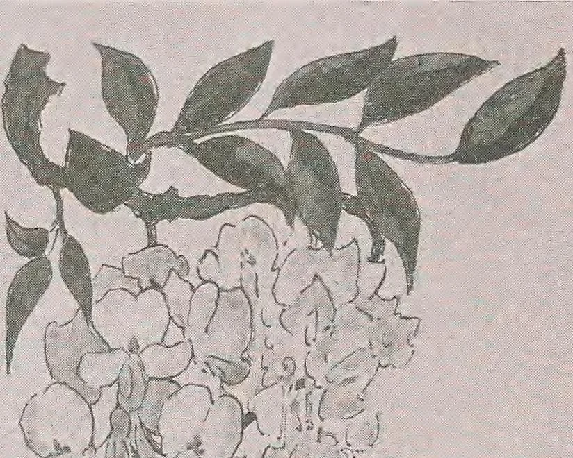An illustration from Keramic studio, 1899, leaf 77