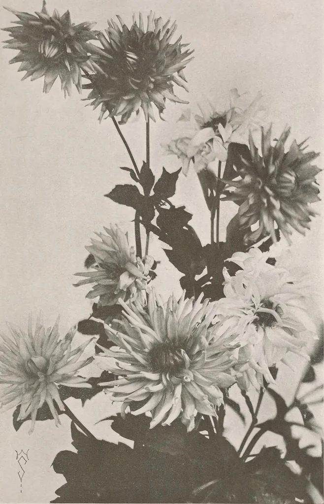 An illustration from Keramic studio, 1899, leaf 80