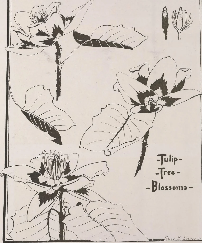 An illustration from Keramic studio, 1899, leaf 85