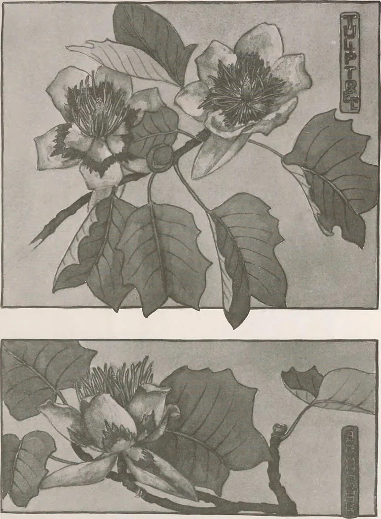An illustration from Keramic studio, 1899, leaf 86