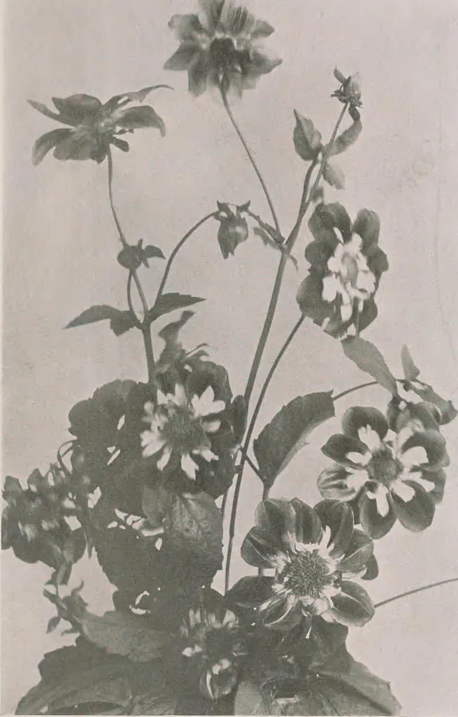 An illustration from Keramic studio, 1899, leaf 90