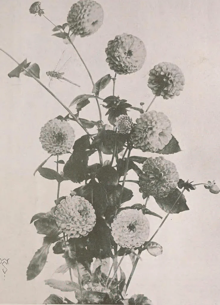 An illustration from Keramic studio, 1899, leaf 96