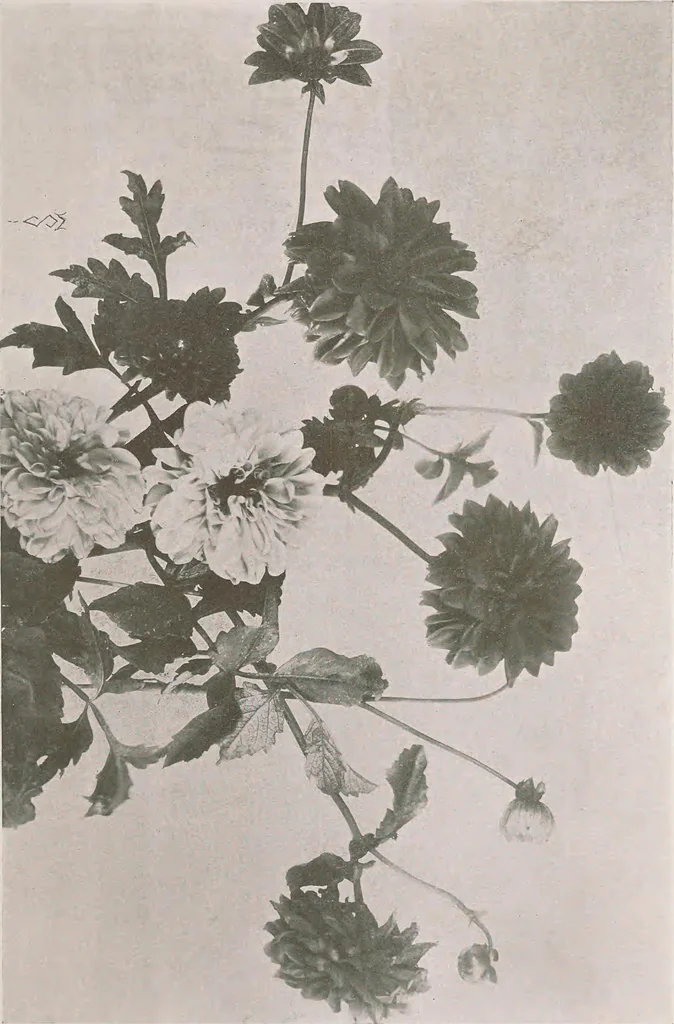 An illustration from Keramic studio, 1899, leaf 98