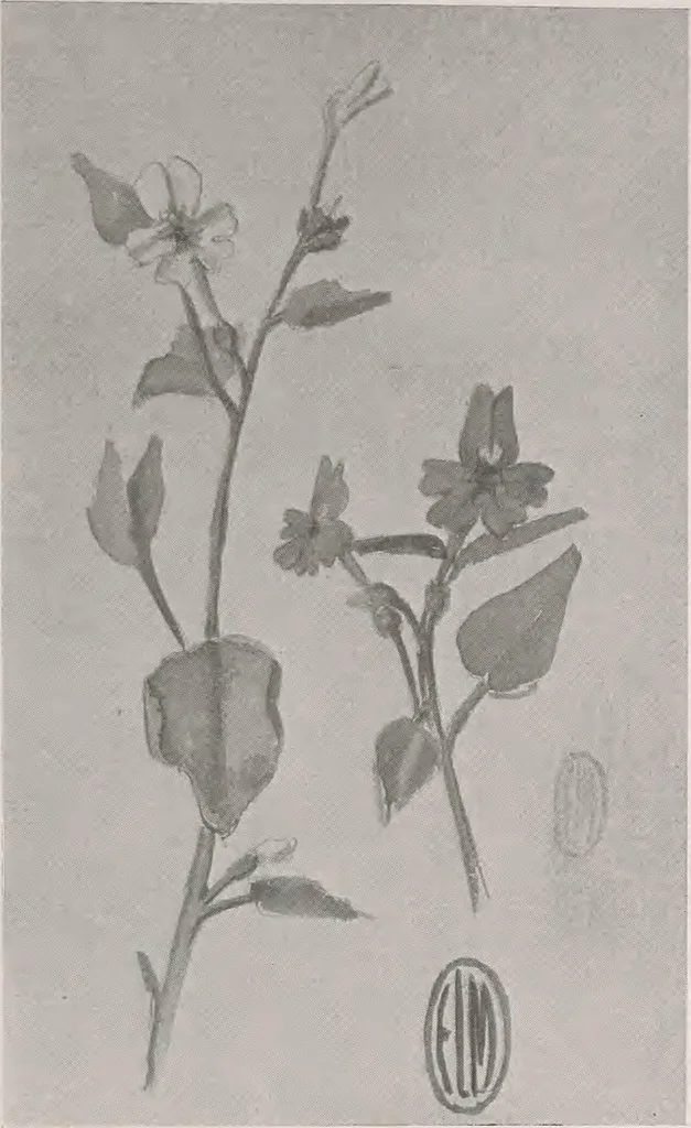 An illustration from Keramic studio, 1899, leaf 140