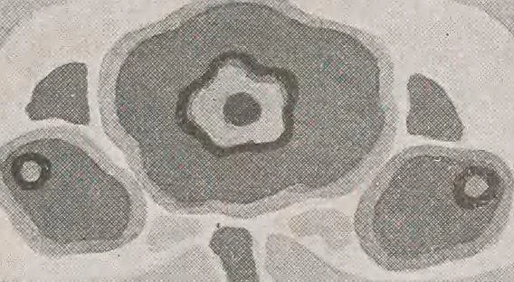 An illustration from Keramic studio, 1899, leaf 156