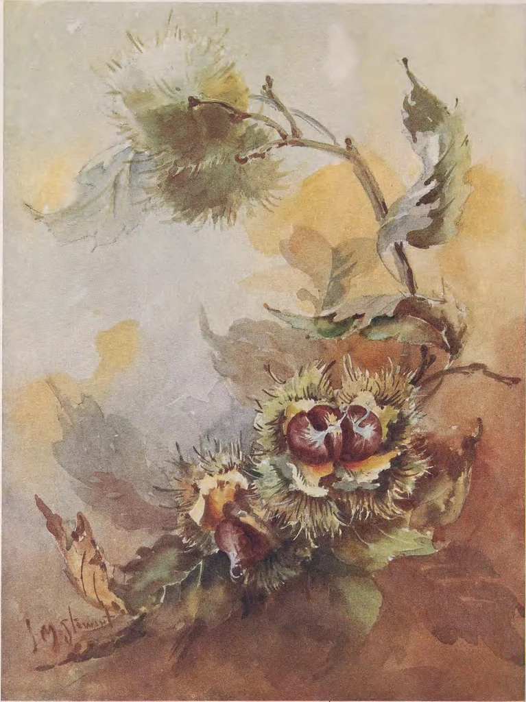 An illustration from Keramic studio, 1899, leaf 249