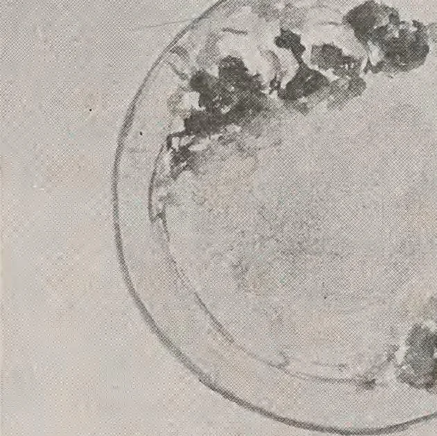 An illustration from Keramic studio, 1899, leaf 286