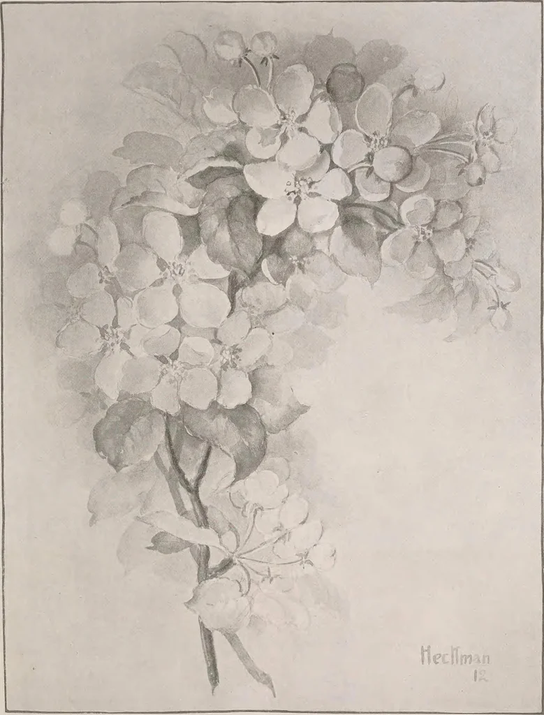 An illustration from Keramic studio, 1899, leaf 300