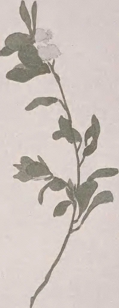 An illustration from Keramic studio, 1899, leaf 301