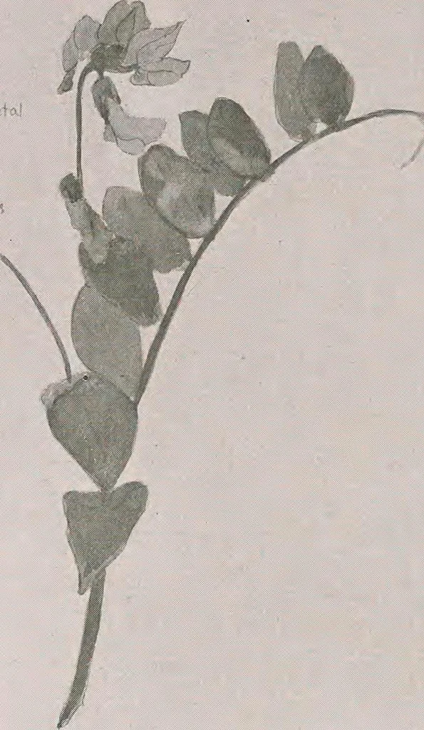 An illustration from Keramic studio, 1899, leaf 301