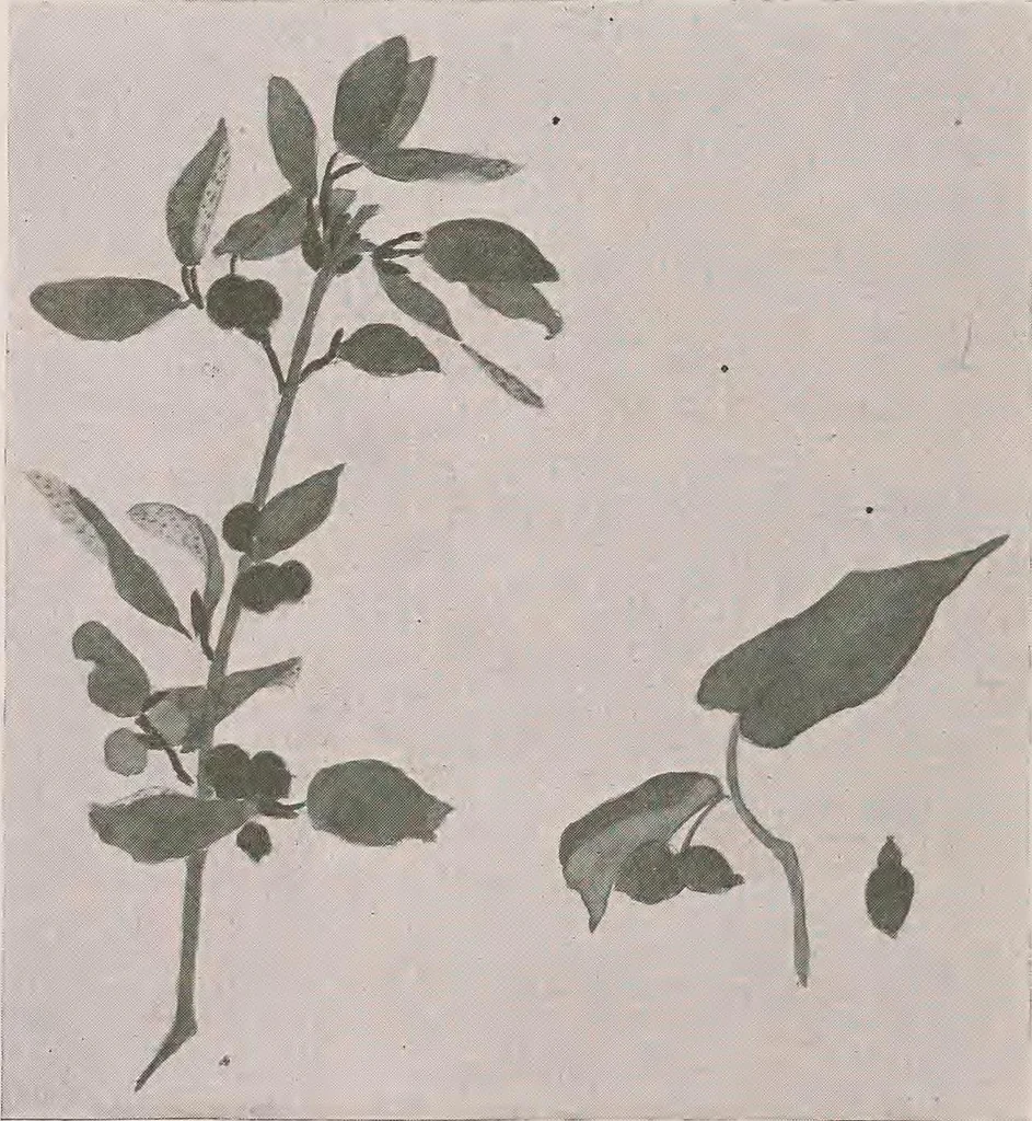 An illustration from Keramic studio, 1899, leaf 301