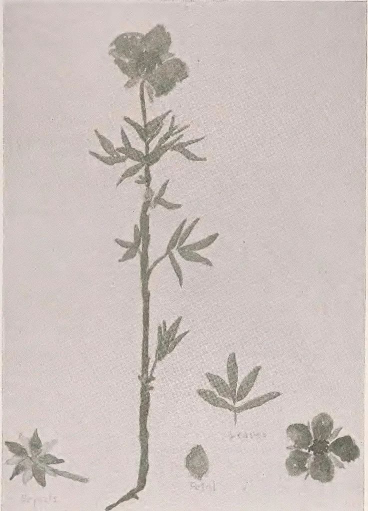 An illustration from Keramic studio, 1899, leaf 302