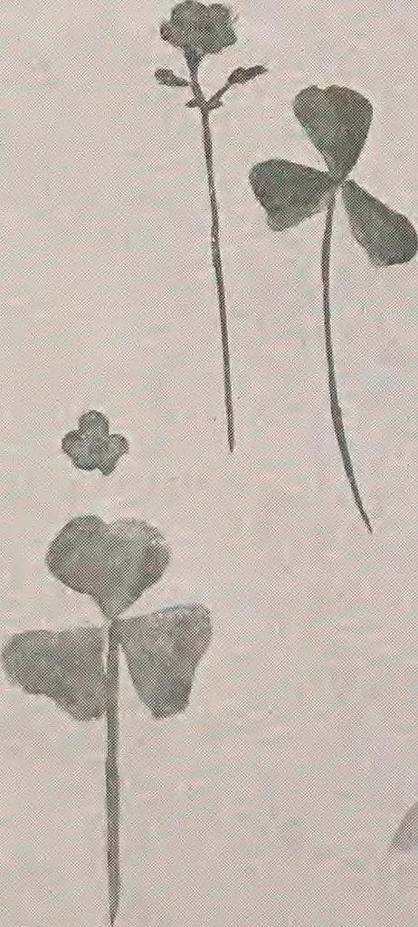 An illustration from Keramic studio, 1899, leaf 302