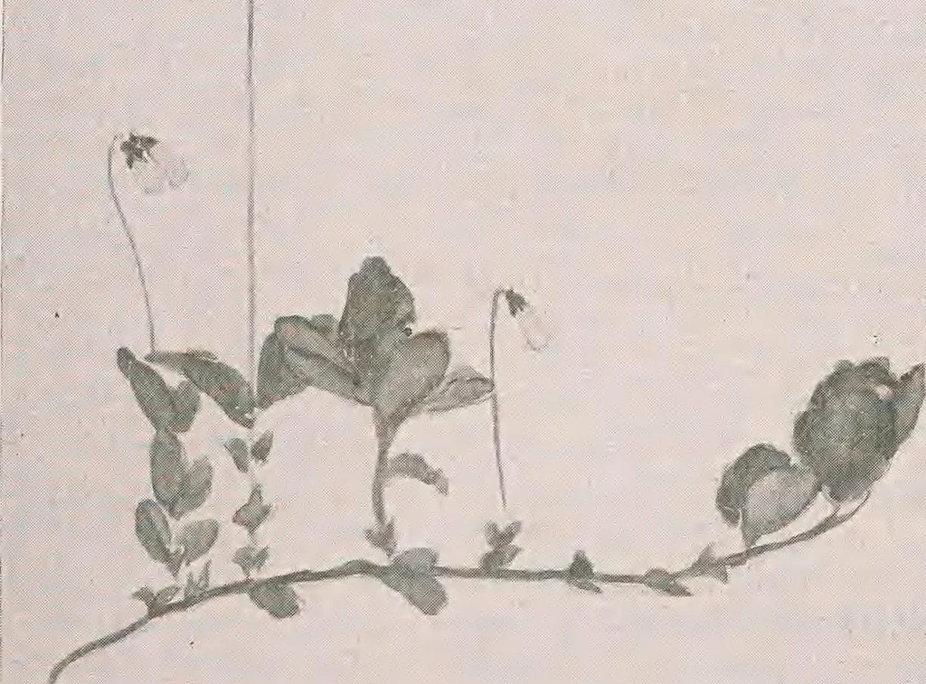 An illustration from Keramic studio, 1899, leaf 302