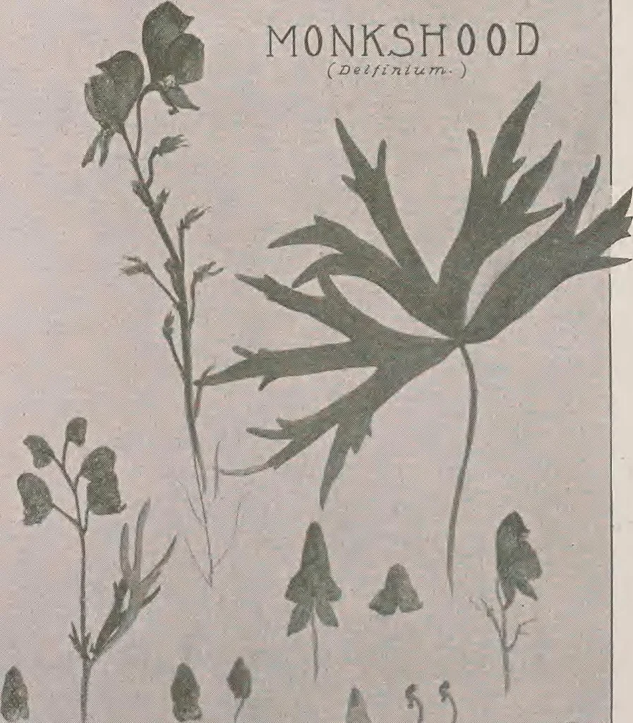 An illustration from Keramic studio, 1899, leaf 303